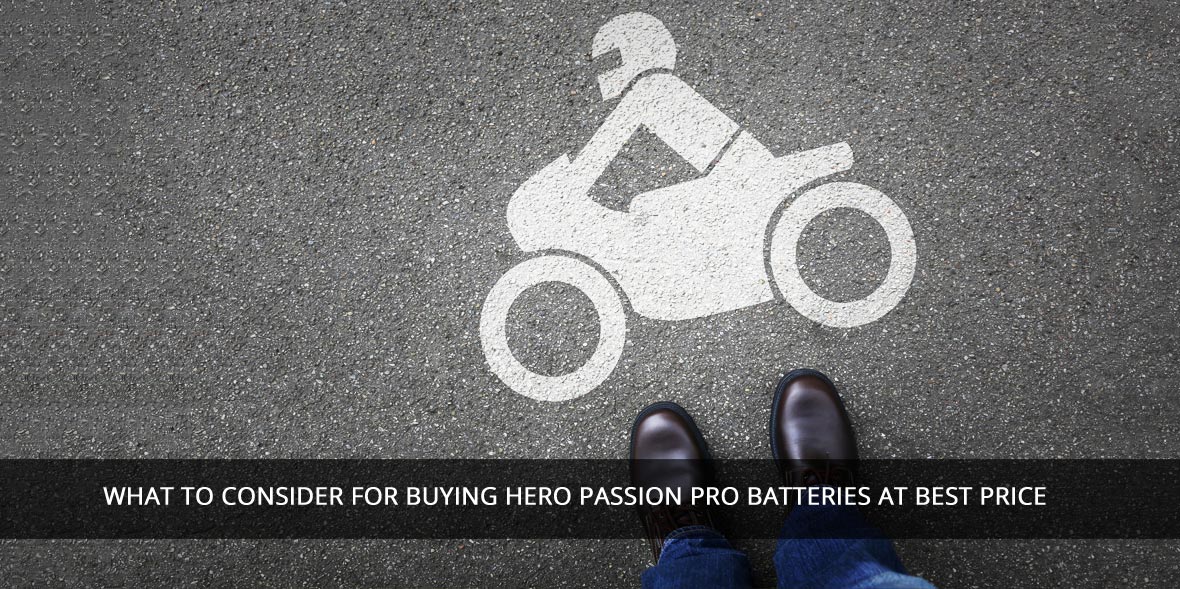 Hero Honda Passion Pro Bike Battery Price